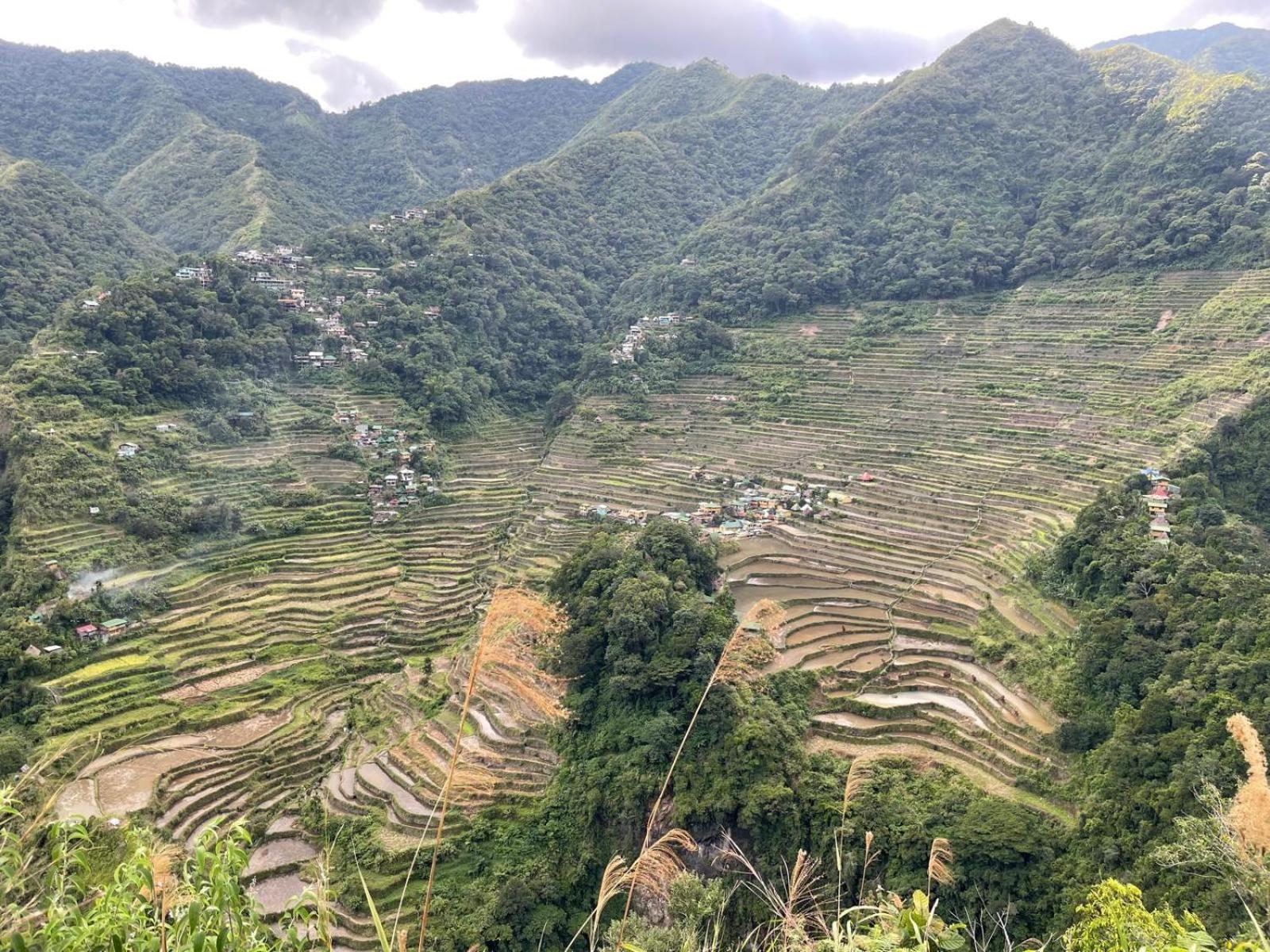 Batad Pension And Restaurant Banaue Eksteriør bilde