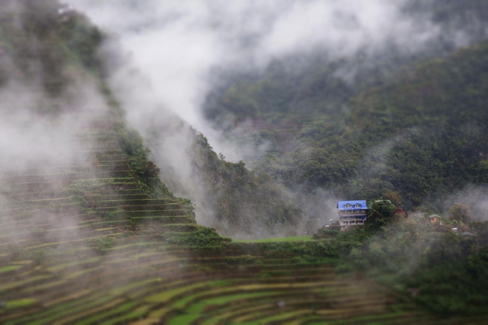 Batad Pension And Restaurant Banaue Eksteriør bilde